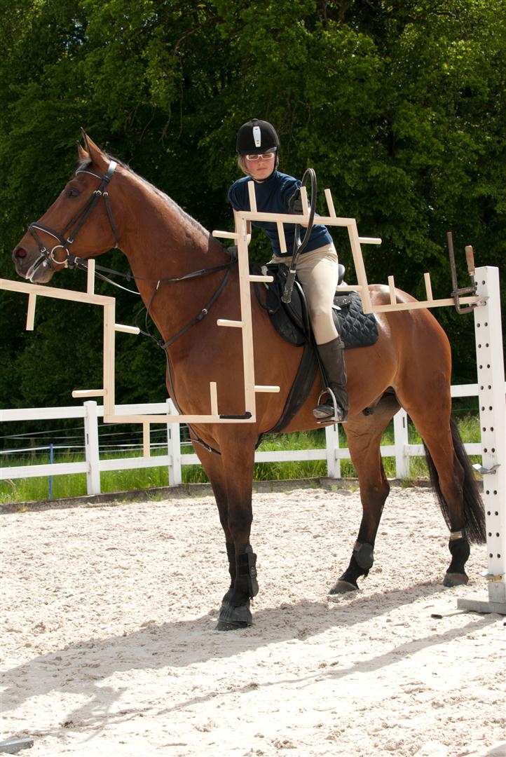 _MSF9725 (Large).jpg